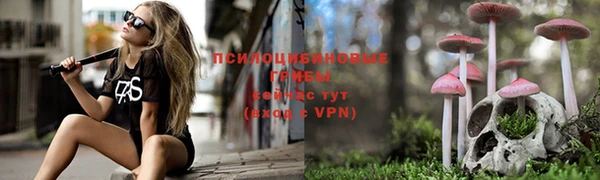 хмурый Арсеньев