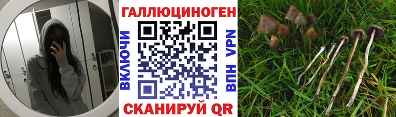 Галлюциногенные грибы Psilocybe MEGA зеркало Астрахань