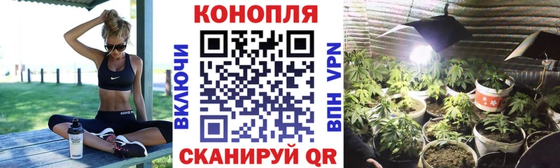 Марихуана план Астрахань